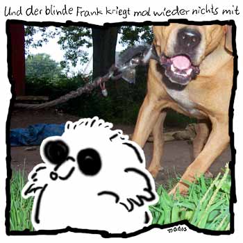 Angekettet, angeleint, bse, Hund, umkippen – Und der blinde Frank kriegt mal wieder nichts mit – © Thiemo Kreuz