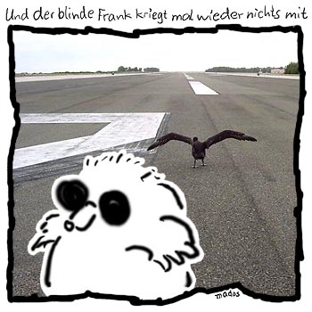 Abflug, abheben, Flugplatz, Landebahn, leer, Platz, Start, Startbahn, starten, Vogel – Und der blinde Frank kriegt mal wieder nichts mit – © Thiemo Kreuz